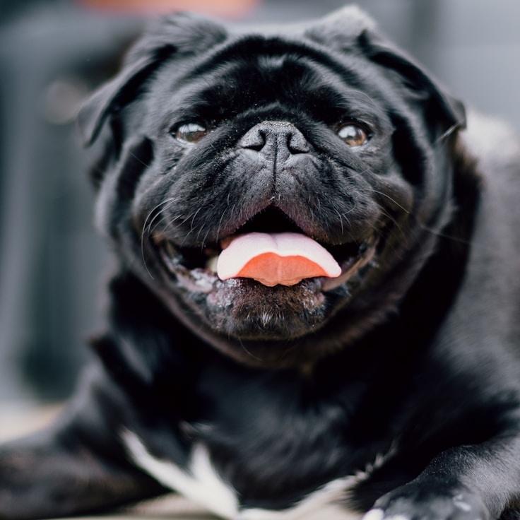 Testimonial author image